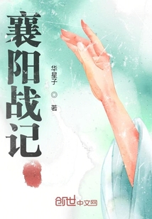 襄阳战记