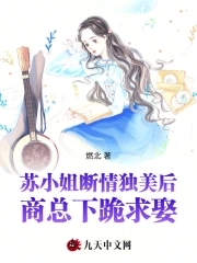 苏小姐断情独美后，商总下跪求娶全本阅读