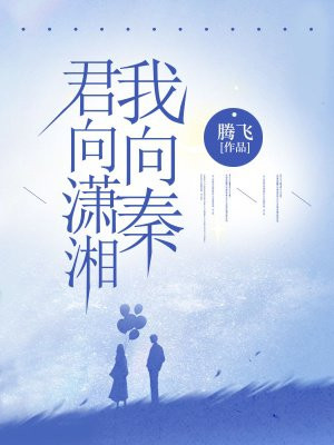 君向潇湘我向秦全诗